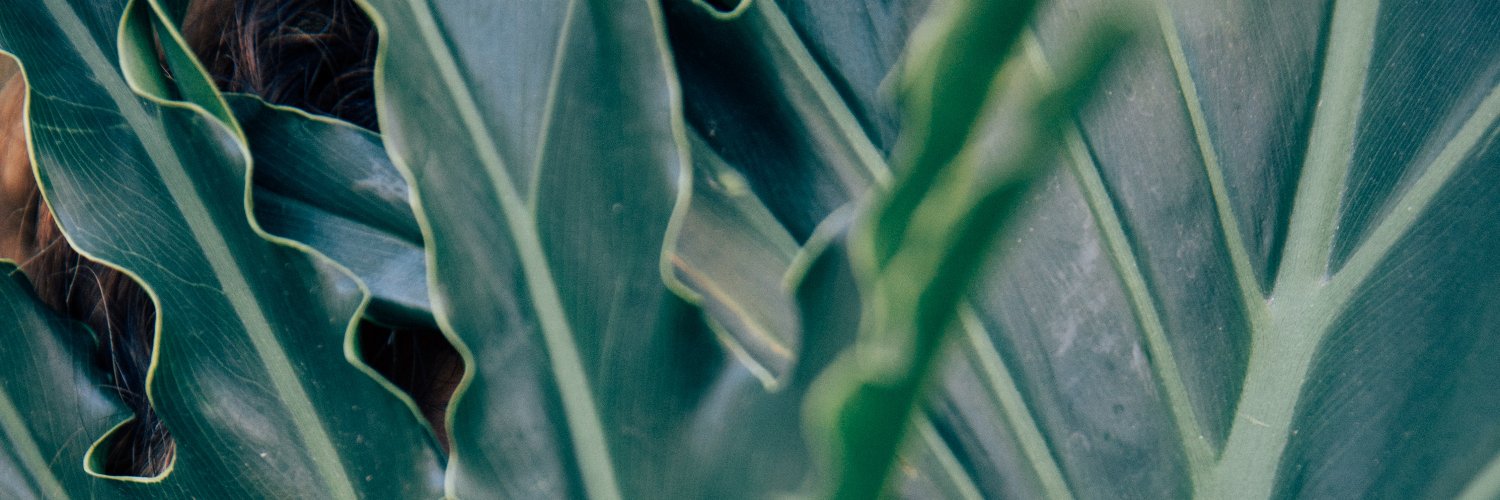 sarahtelemaque's profile banner image