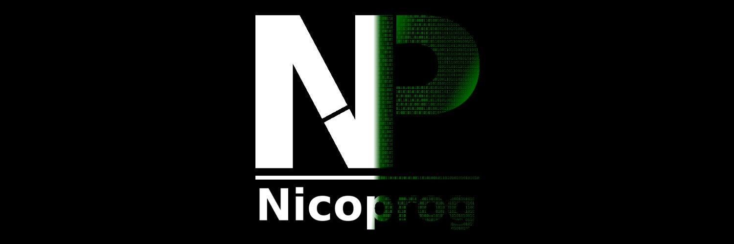 N1coprog's profile banner image