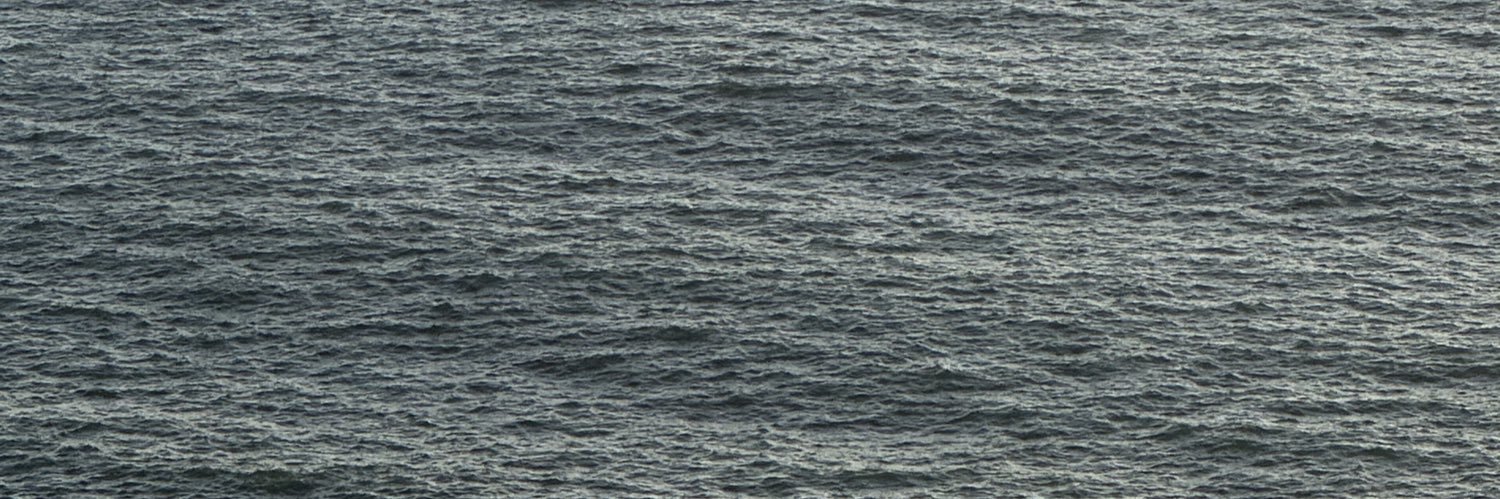 patriciaolmd's profile banner image