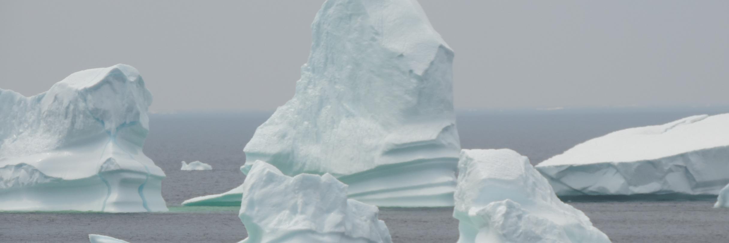 wezzerbomb's profile banner image