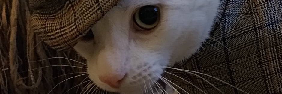 EdPhu's profile banner image