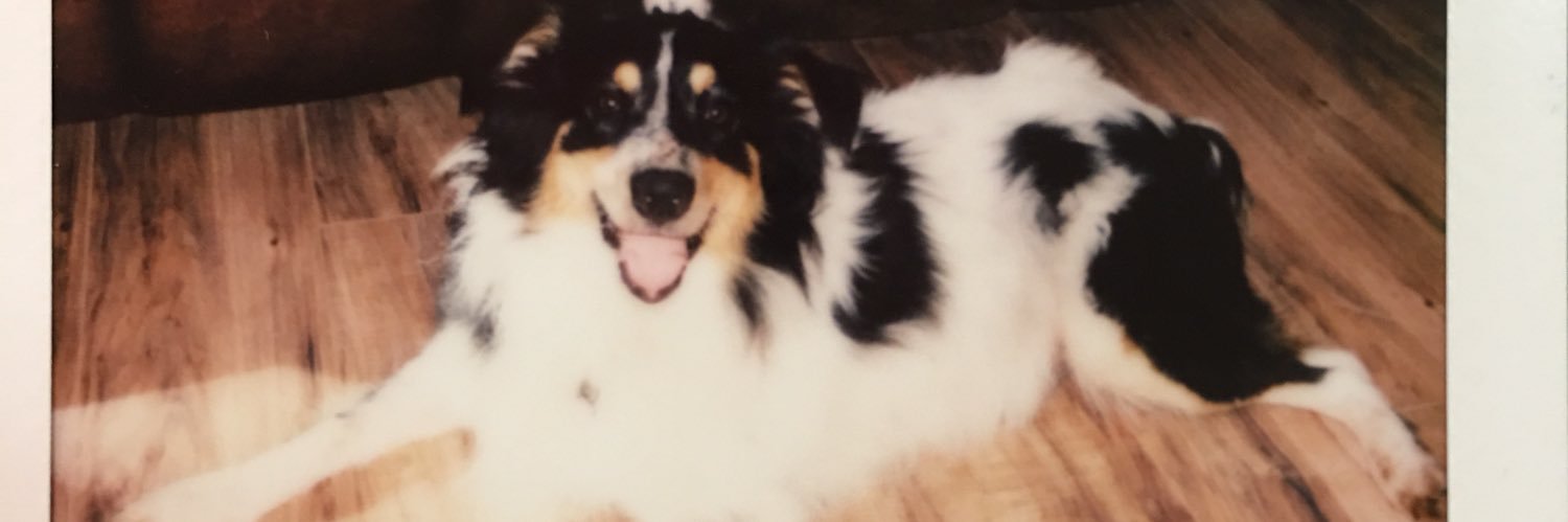 AudddreyMiller's profile banner image