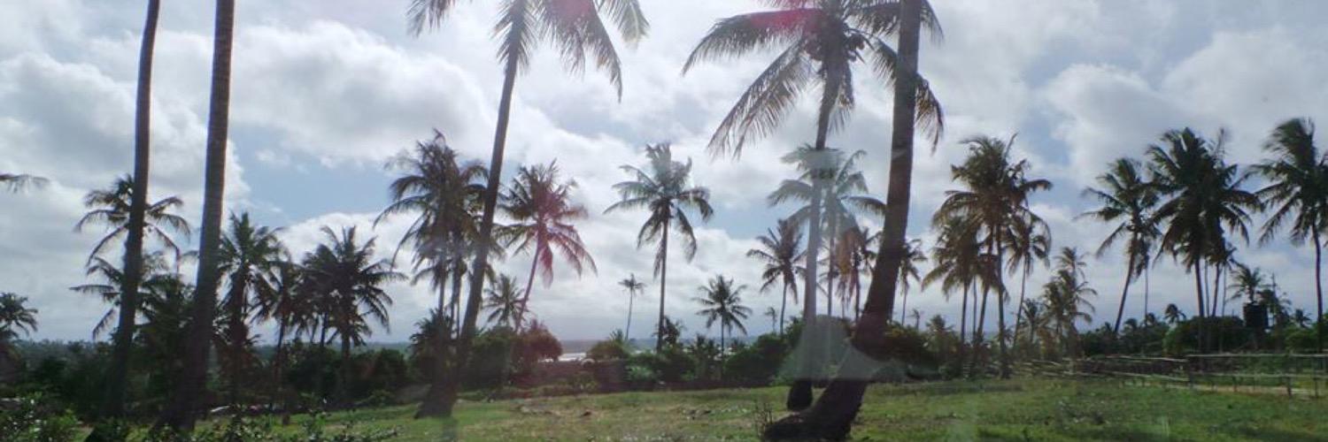 Alexa Taylor☀️ banner