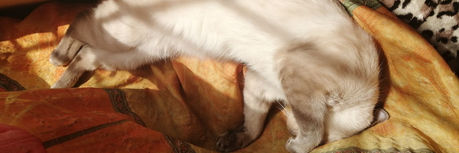ronalcony1's profile banner image