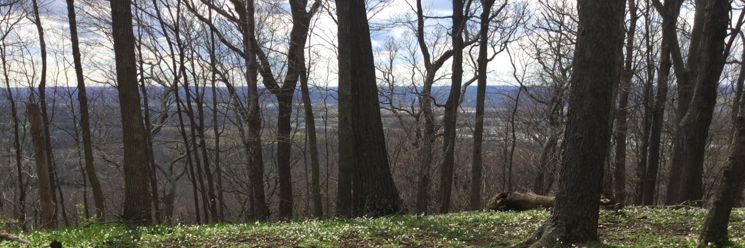 cortnog's profile banner image
