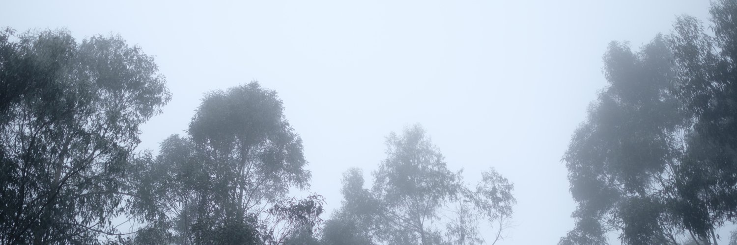 Kevin Chen banner