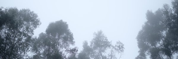 kevinchen Profile Banner