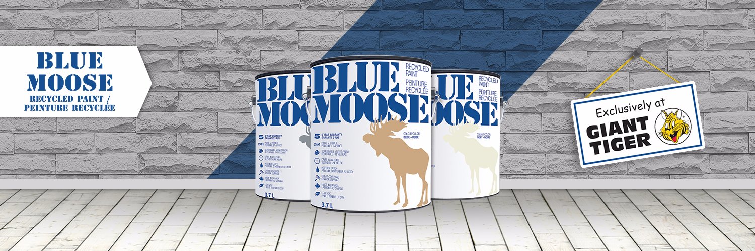 Blue Moose Paint banner