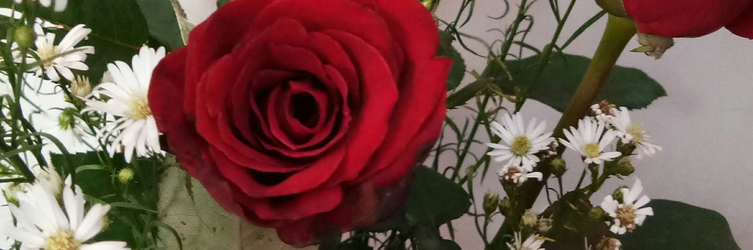 ekaaasrdn's profile banner image