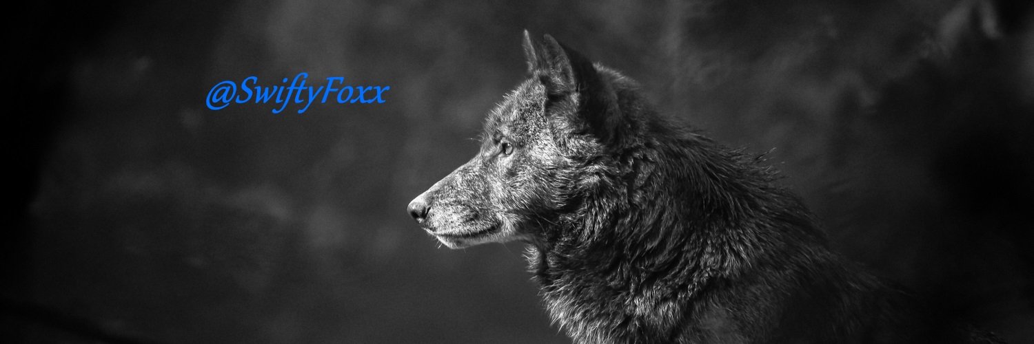 SwiftyFoxx's profile banner image