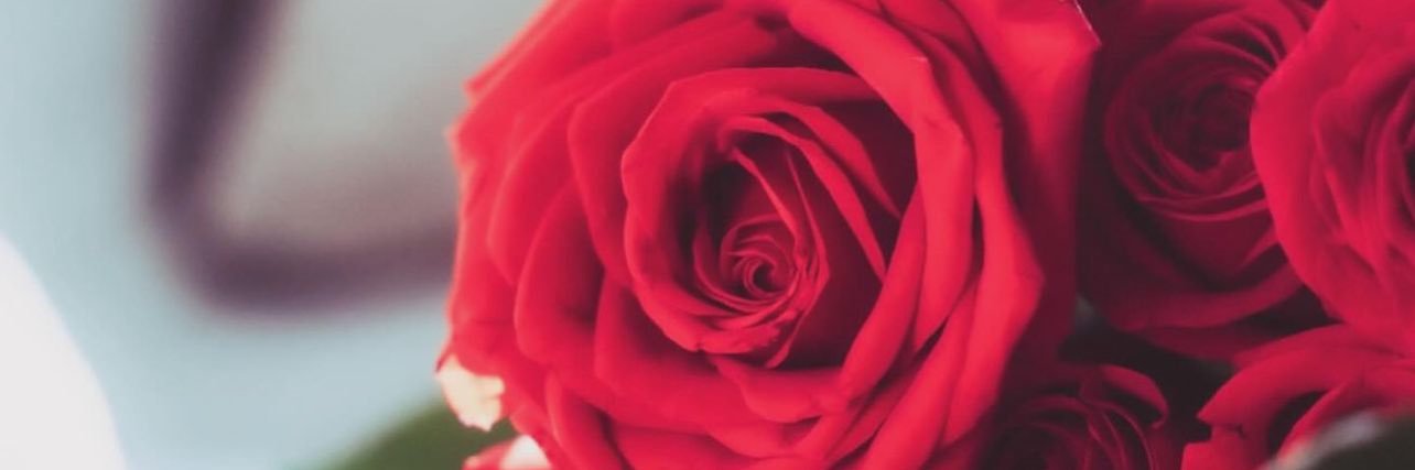 🌸 Bella Brown Doll banner