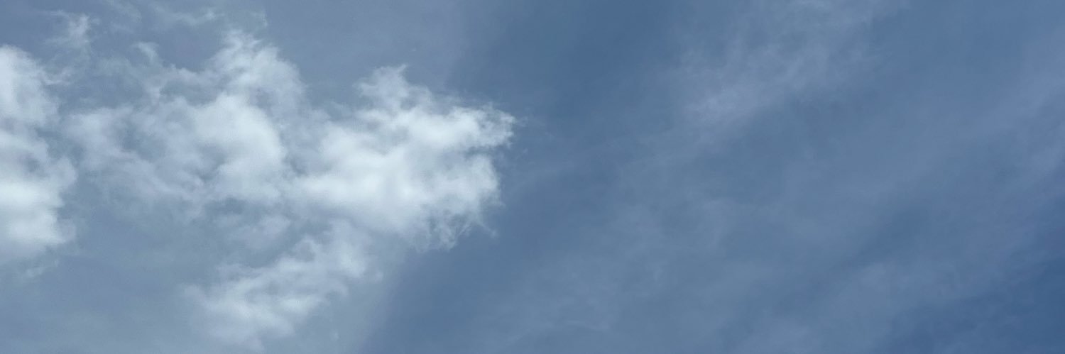 ryutoukin's profile banner image