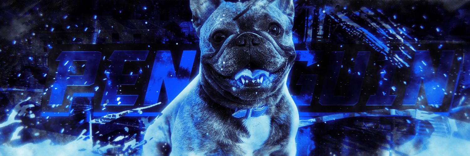WSG_Penguin's profile banner image