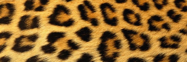 CHELSSSS_26's profile banner image