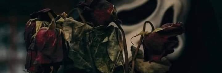 Arctixaa's profile banner image
