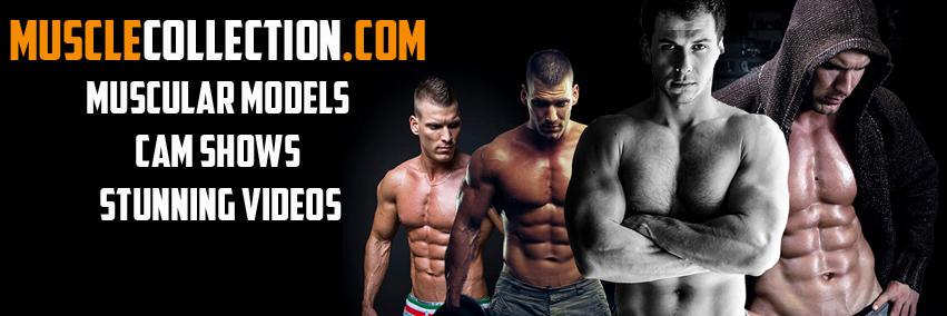 musclecollectio's profile banner image