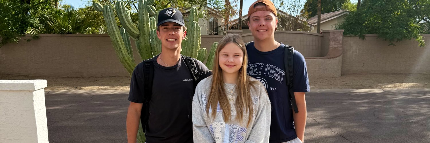 heididelf's profile banner image