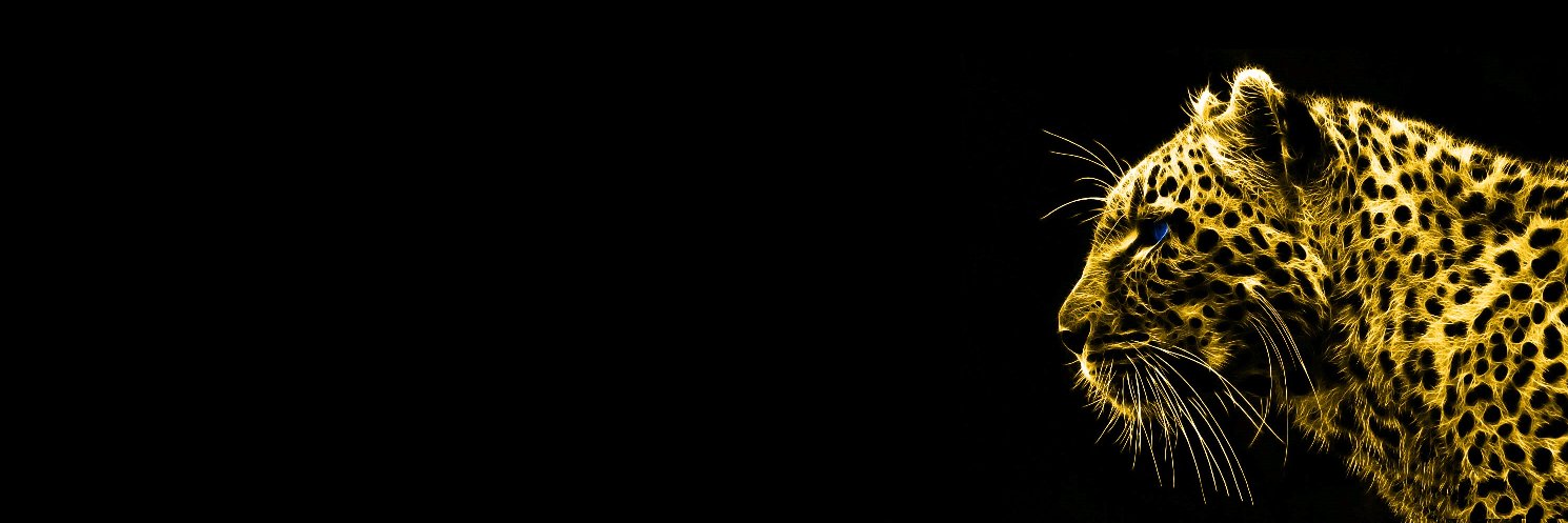 MPPeleTL's profile banner image
