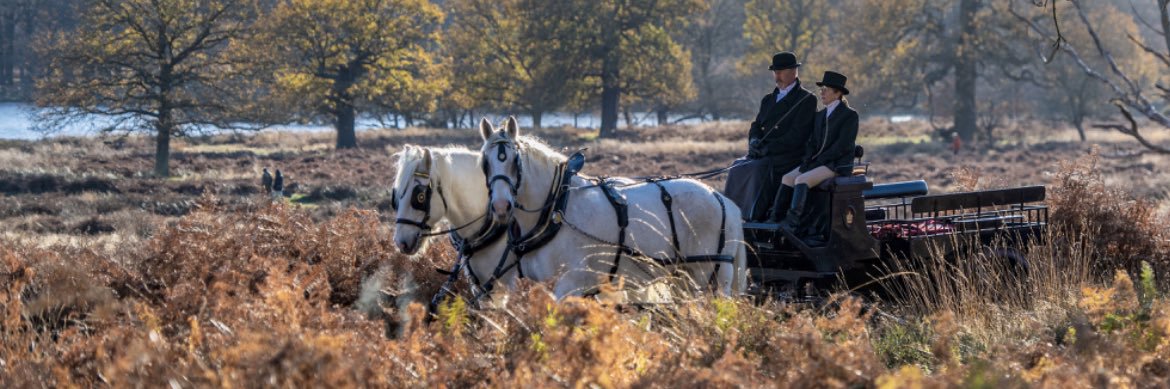 Operation Centaur banner