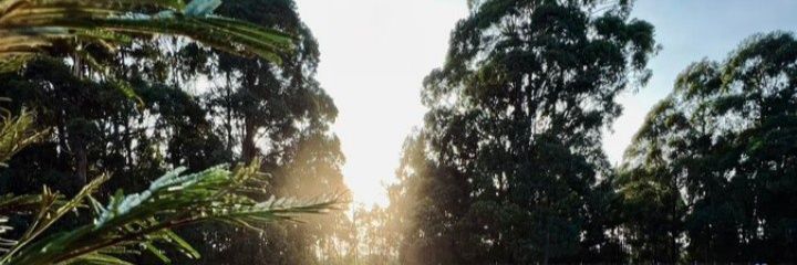 j_mugalo's profile banner image