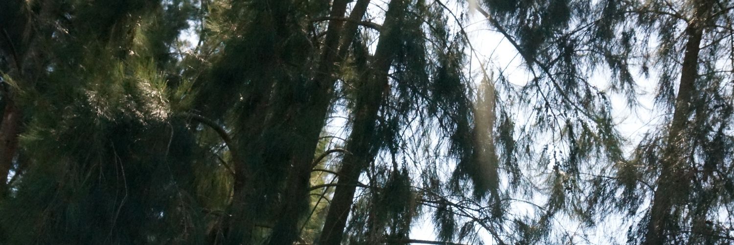 khilekltr's profile banner image