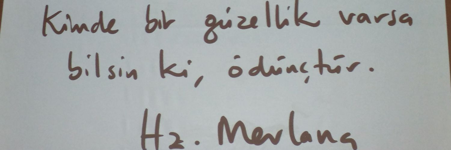_zehraozdin's profile banner image