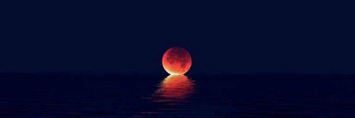 TomasTamborelli's profile banner image