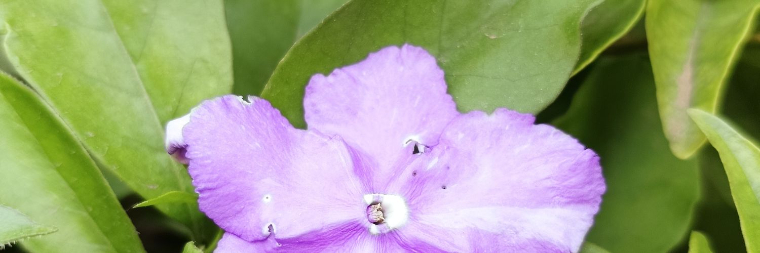 c_kay21's profile banner image