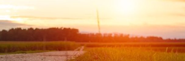Runnrunn11079's profile banner image