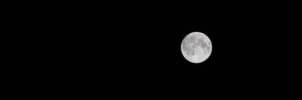 Indianna Ryan banner