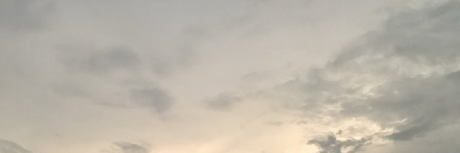 sincejuney's profile banner image