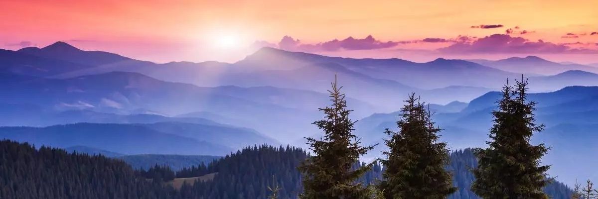 Whisperingtears's profile banner image