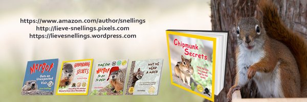 SnellingsLieve Profile Banner