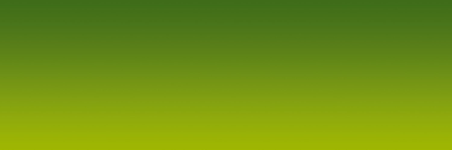 Big Local Broad Green banner