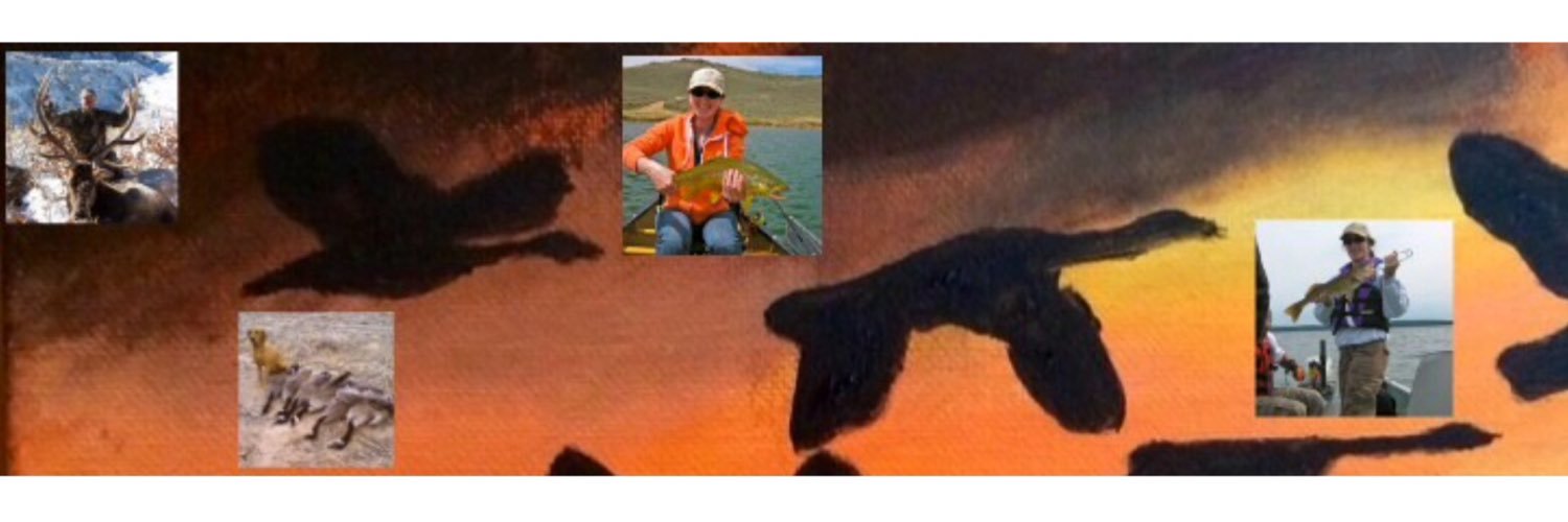 Fin Feather and Bone banner