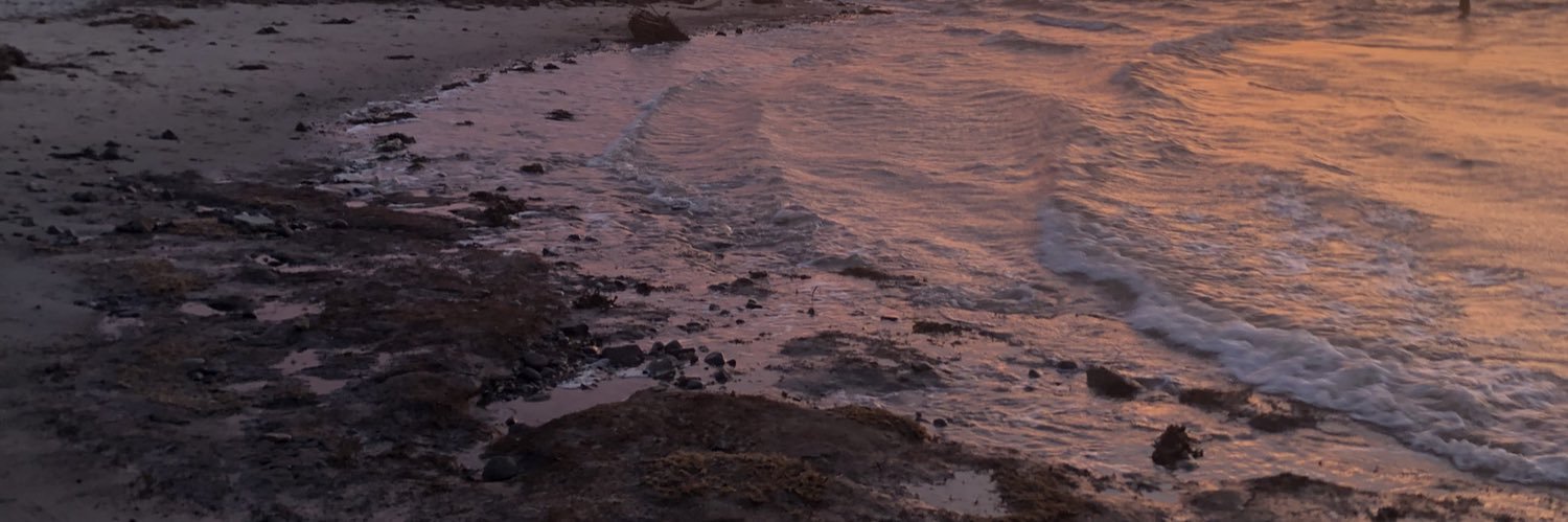 joy_cccc's profile banner image
