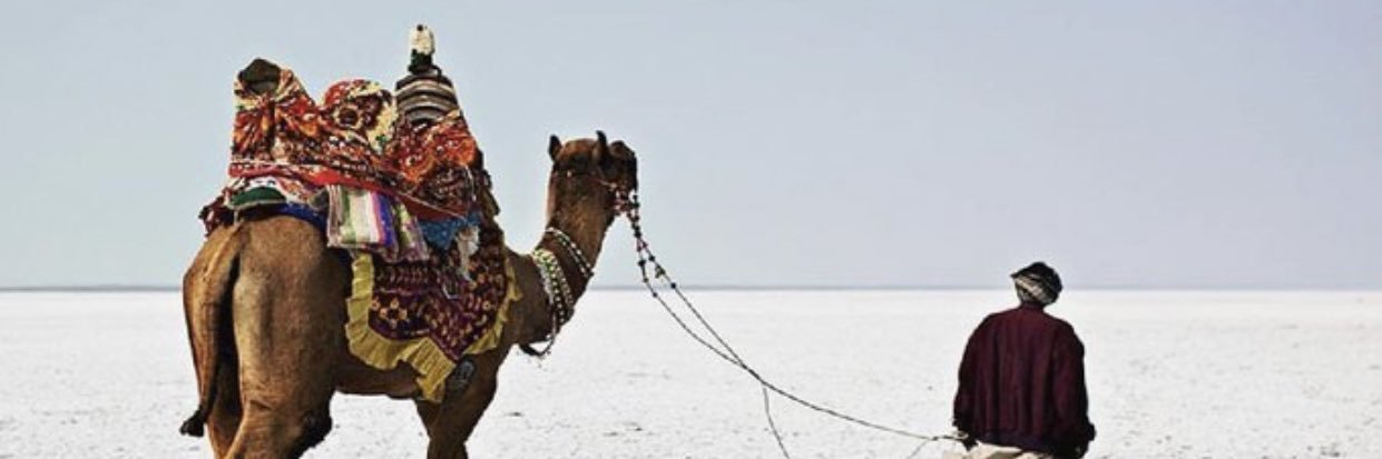 AmanMert1's profile banner image