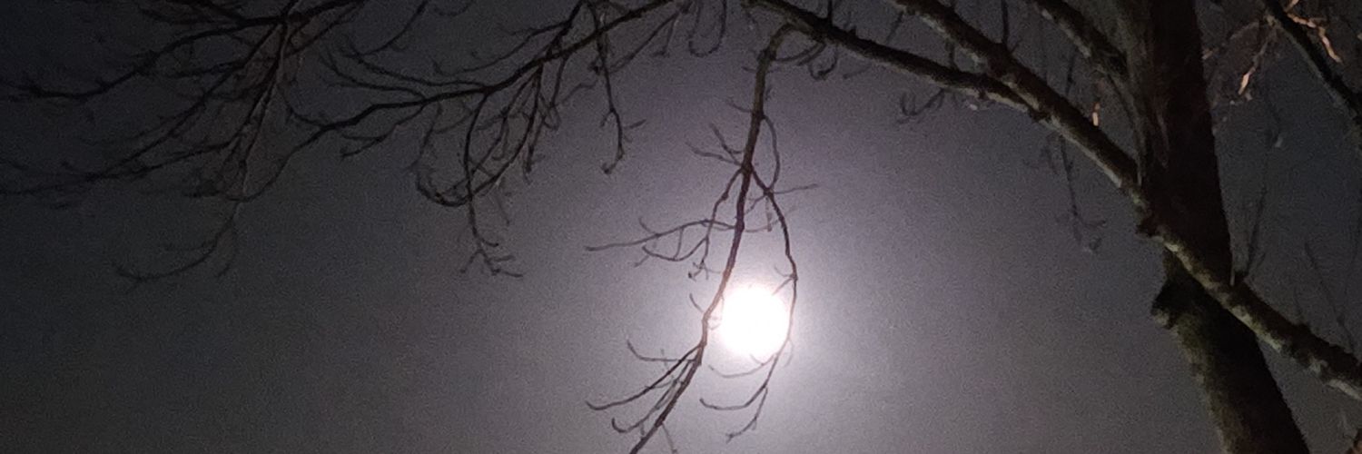 Brenda van de Velde banner