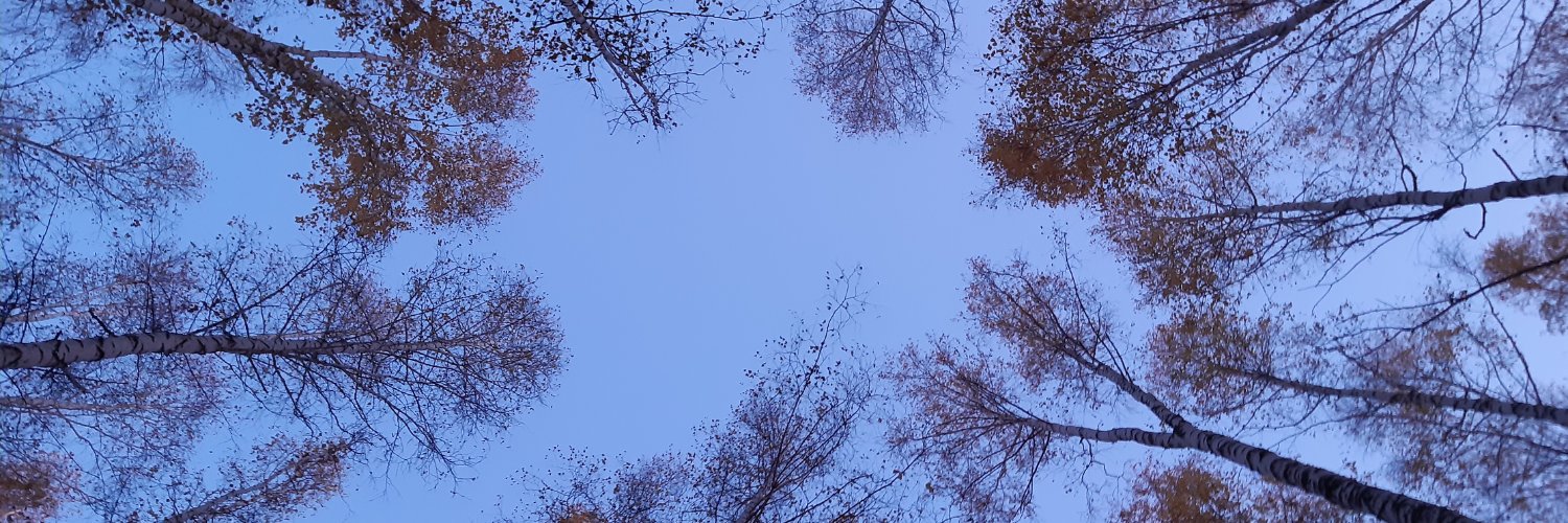 roosarytkonen's profile banner image