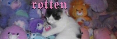 koteculia's profile banner image