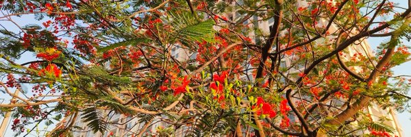 dpagrawal Profile Banner