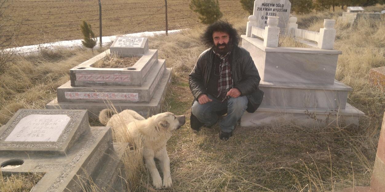 DerdiyoklarAli's profile banner image