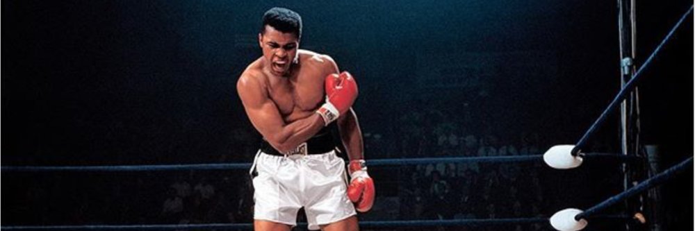 j_jparkerr's profile banner image
