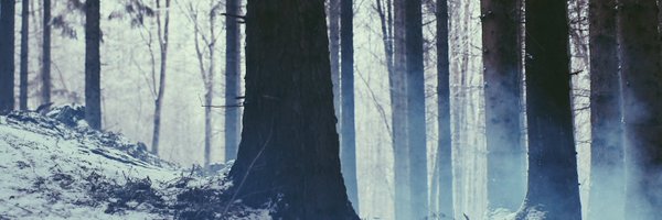 kssternkopf Profile Banner