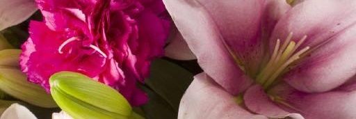 72Buhle's profile banner image