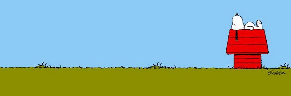 AnxiousSnoopy's profile banner image