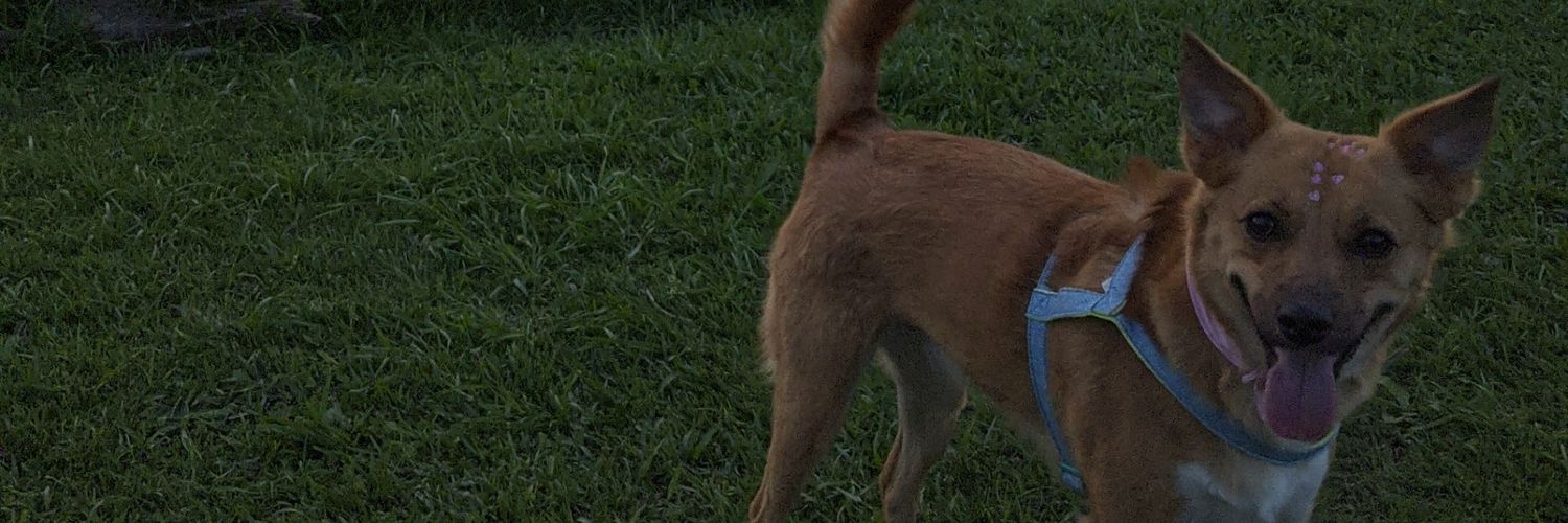 hitdarlan's profile banner image