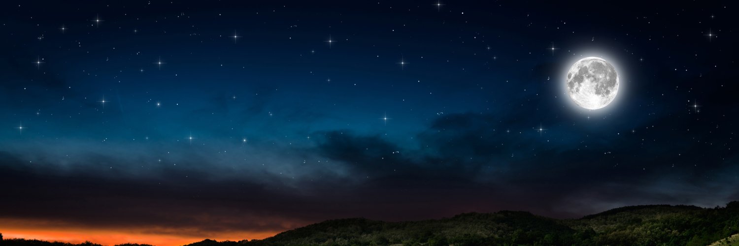 noellenights's profile banner image
