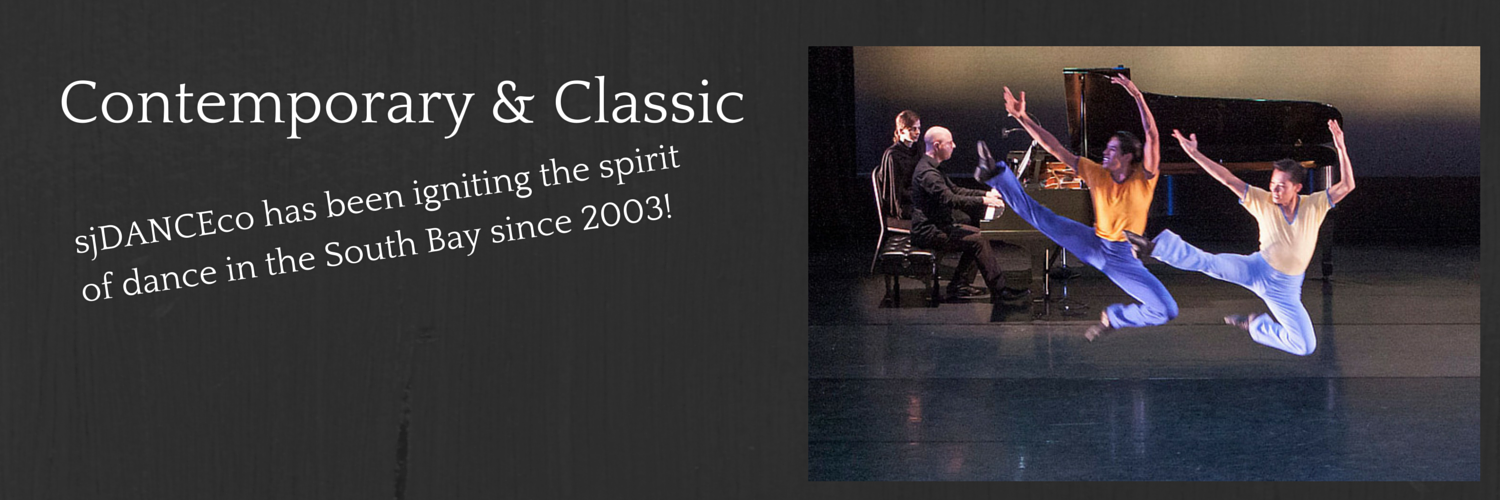 sjdanceco's profile banner image