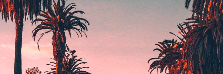 til_stude's profile banner image